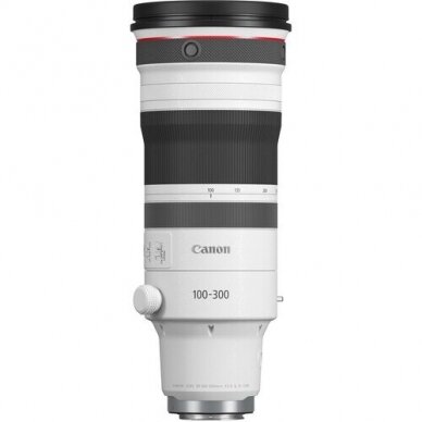 Canon RF 100-300mm F/2.8 L IS USM 2