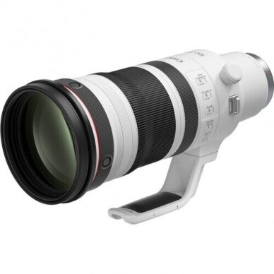 Canon RF 100-300mm F/2.8 L IS USM 3