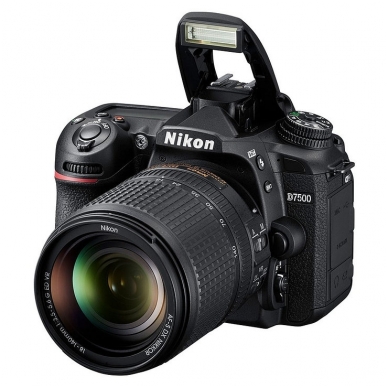 Nikon D7500 NIKKOR 18-140mm f/3.5-5.6G ED VR 1