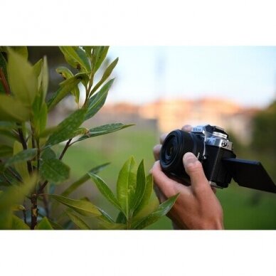 Nikon Z DX 24mm F/1.7 2